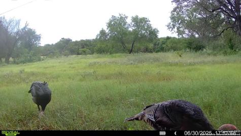 3141 Zion Hill Seguin TX 78155