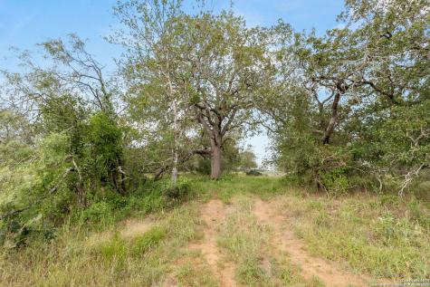 3141 Zion Hill Seguin TX 78155