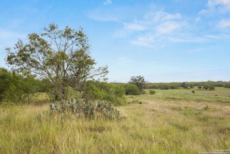 3141 Zion Hill Seguin TX 78155
