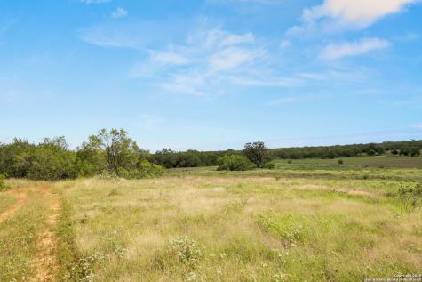 3141 Zion Hill Seguin TX 78155