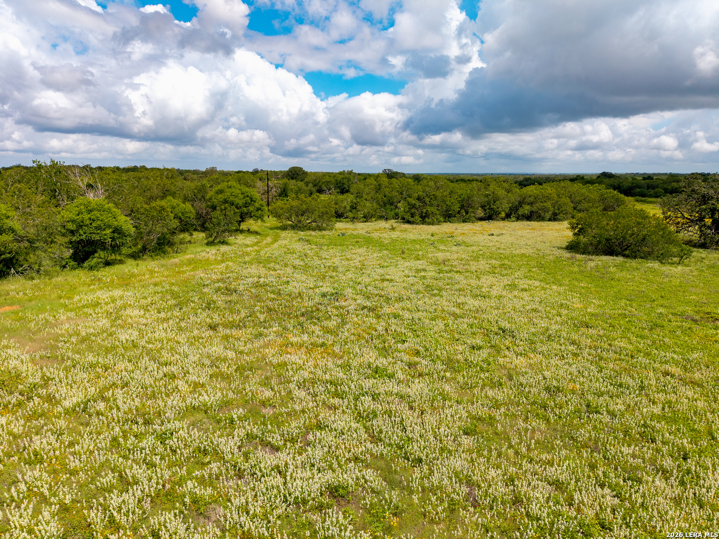 3141 Zion Hill Seguin TX 78155