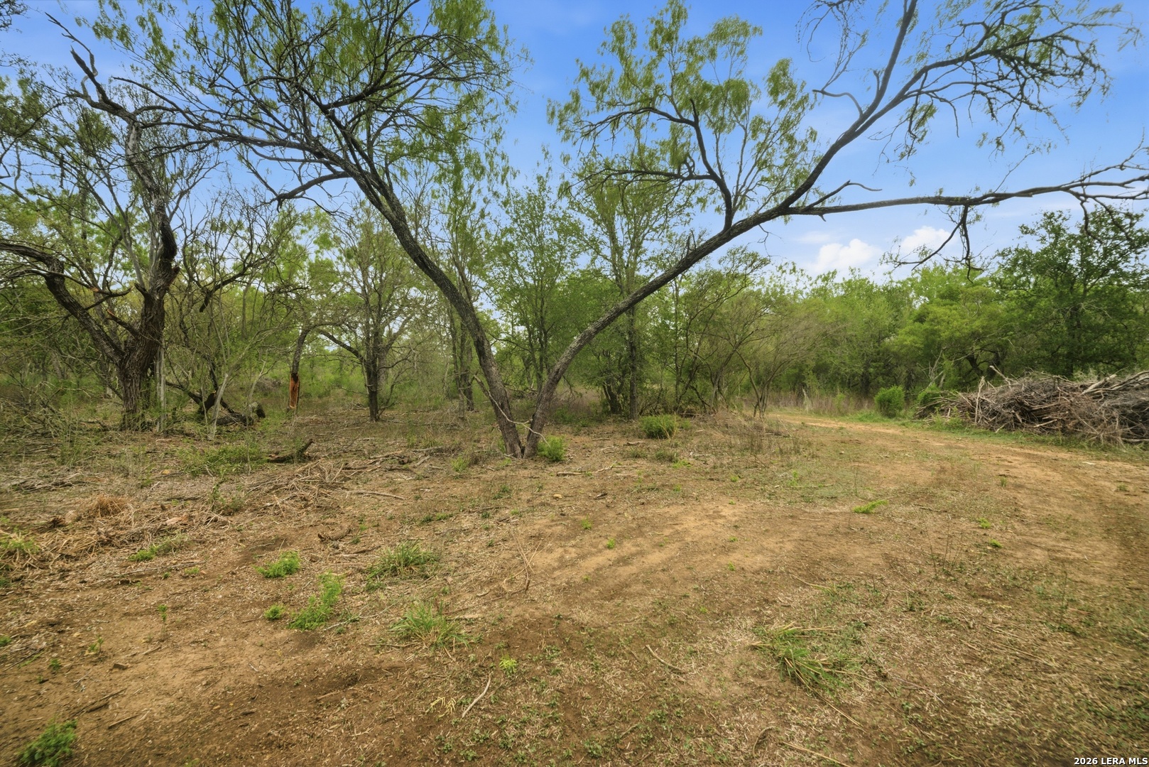 2128 Martinez Losoya San Antonio TX 78221