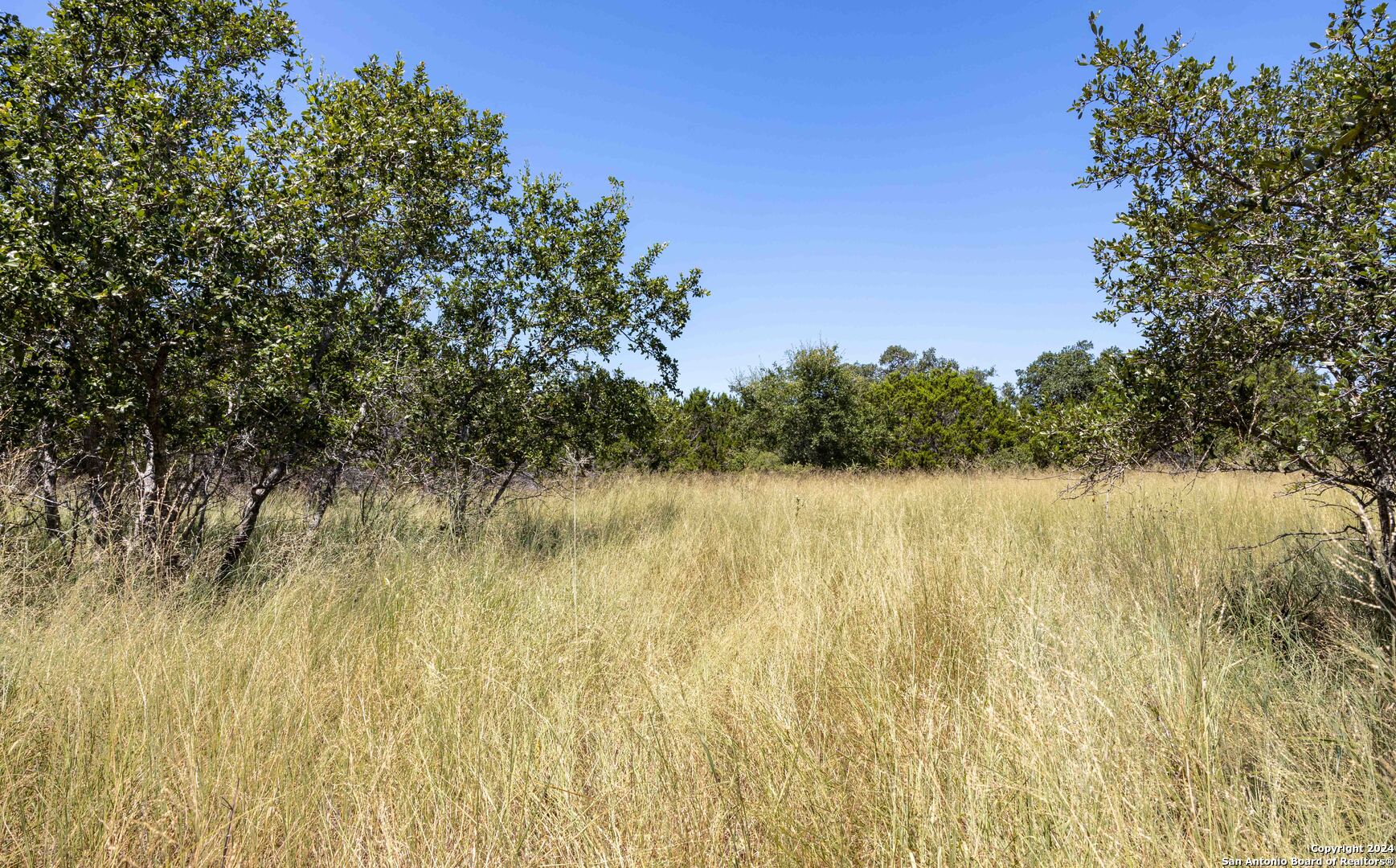 7726 Ramble Ridge San Antonio TX 78266