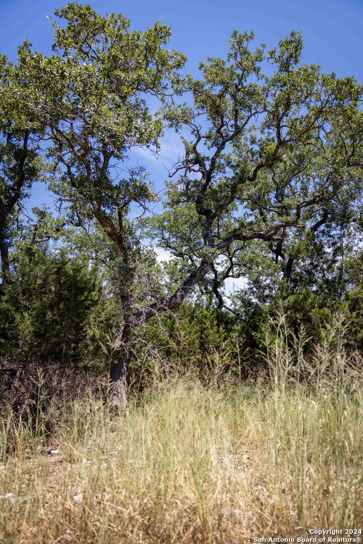 7726 Ramble Ridge San Antonio TX 78266