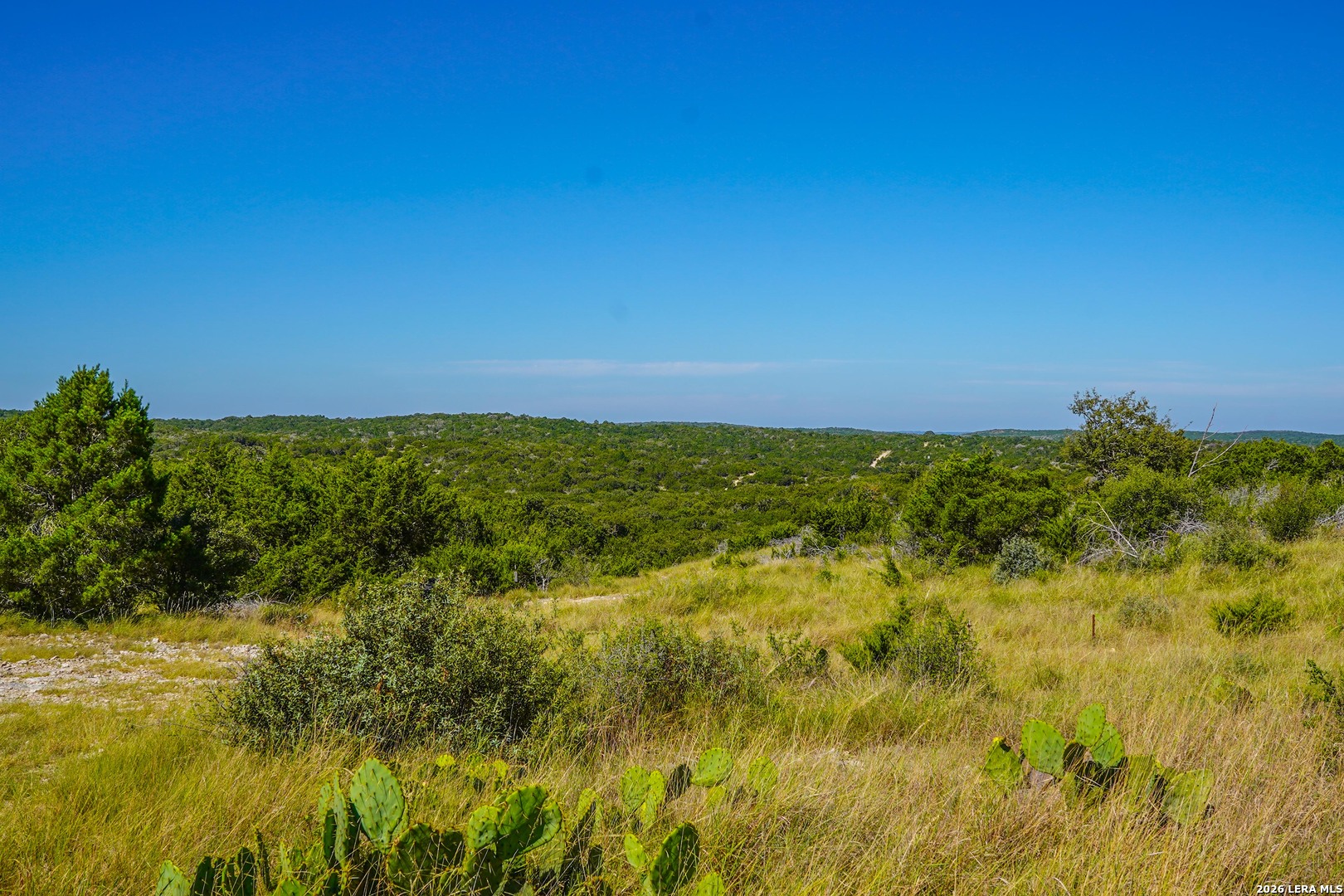 14468 County Road 310 Rocksprings TX 78880