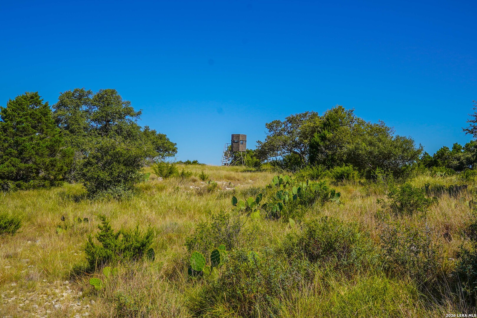 14468 County Road 310 Rocksprings TX 78880