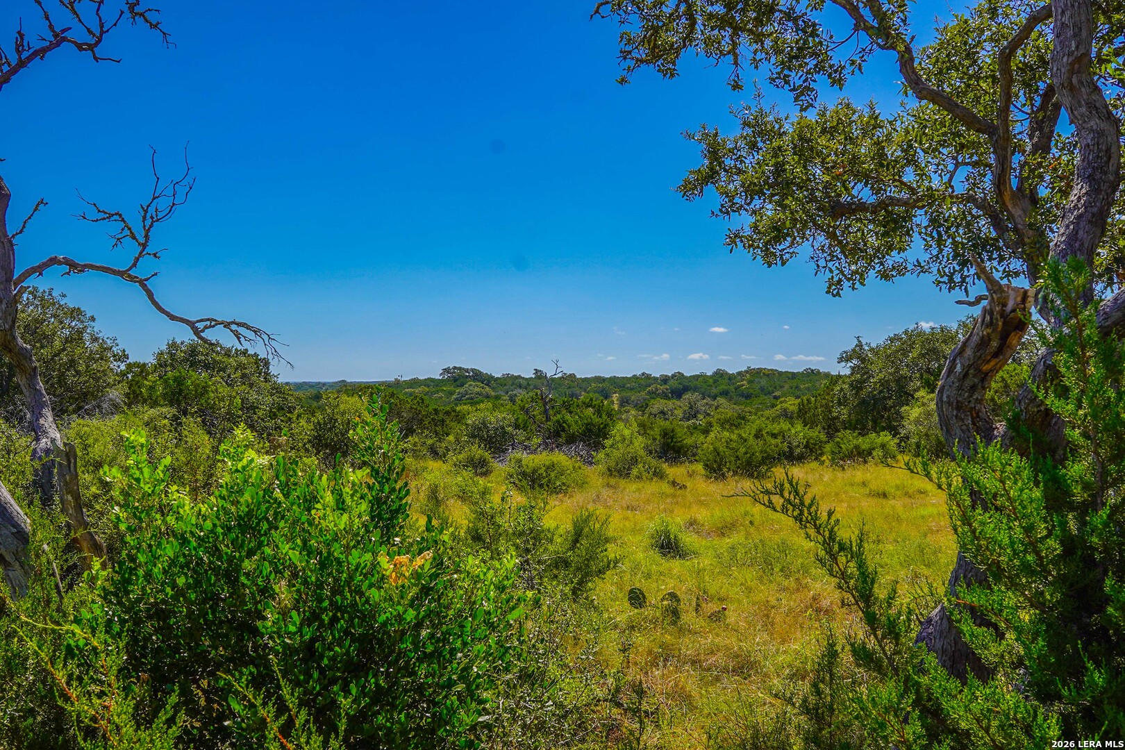 14468 County Road 310 Rocksprings TX 78880