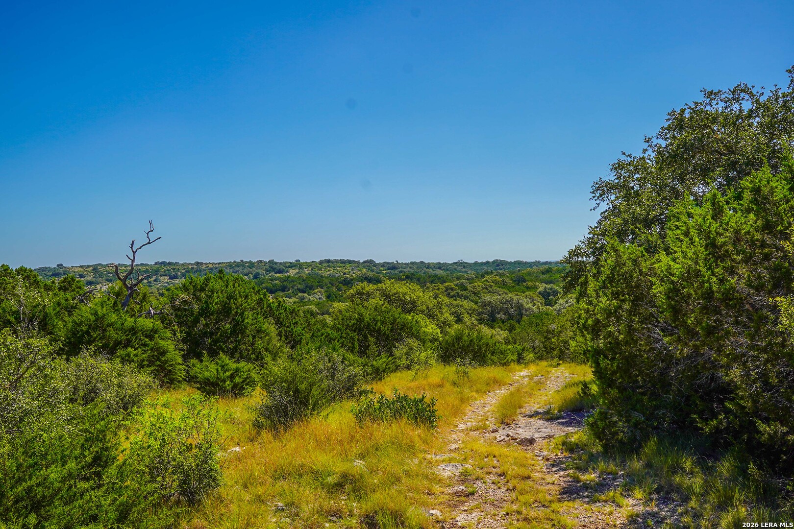 14468 County Road 310 Rocksprings TX 78880