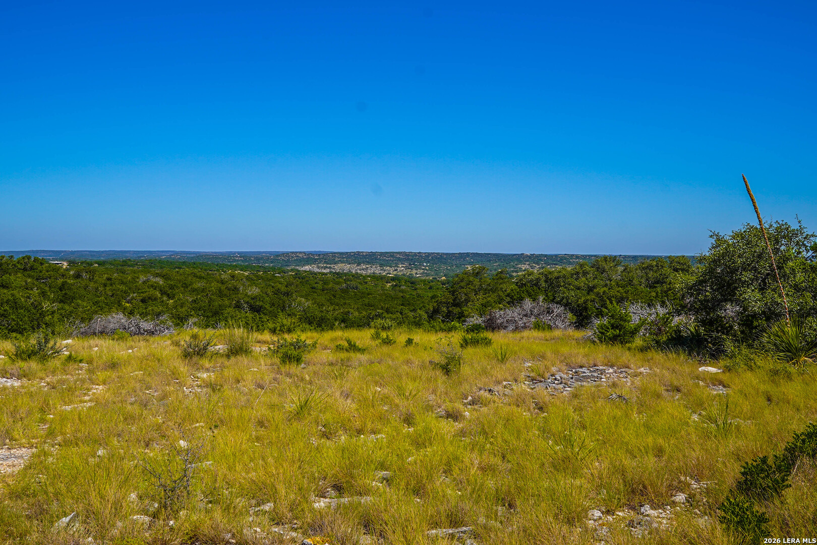 14468 County Road 310 Rocksprings TX 78880