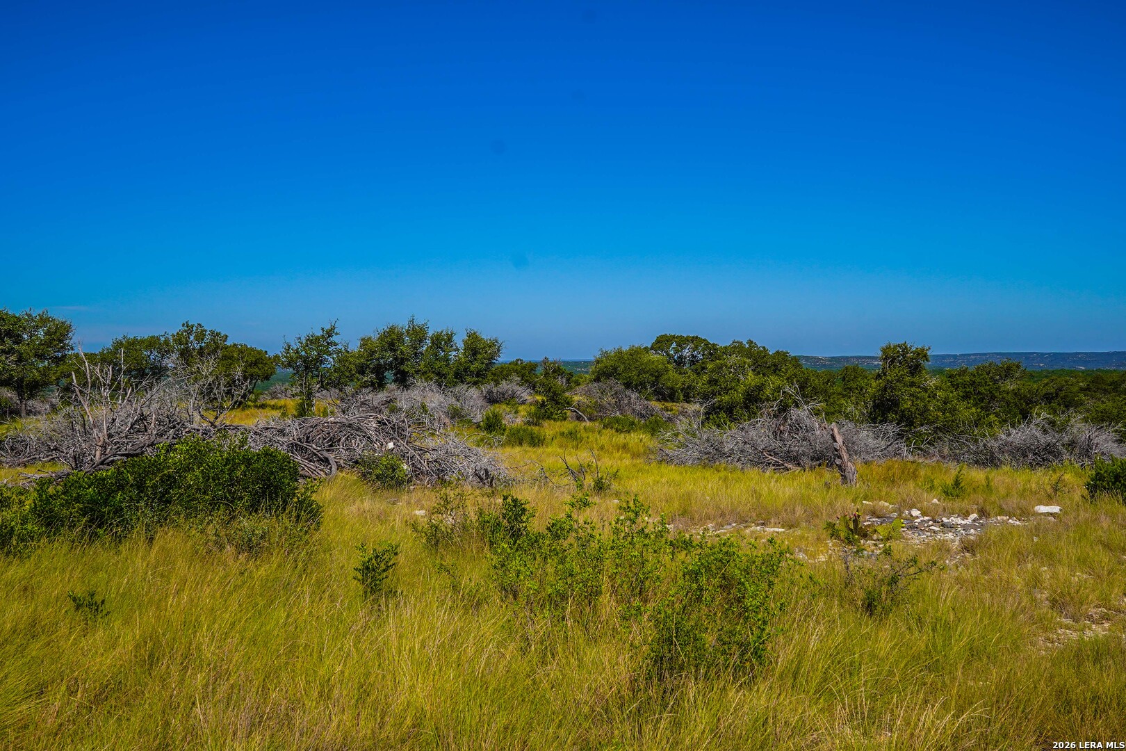 14468 County Road 310 Rocksprings TX 78880