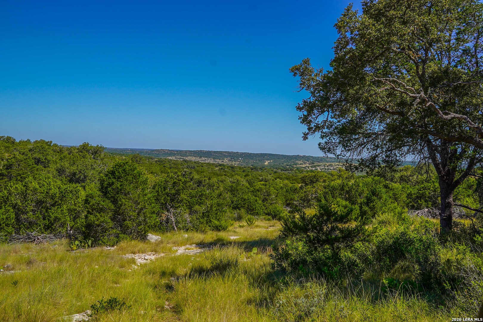 14468 County Road 310 Rocksprings TX 78880