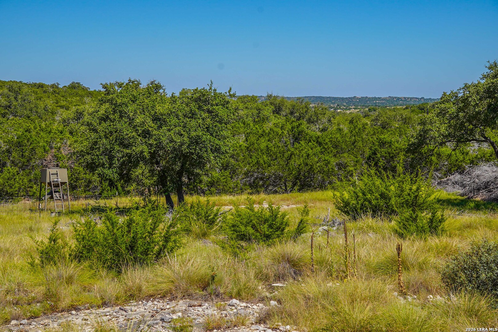14468 County Road 310 Rocksprings TX 78880