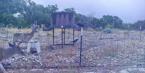 14468 County Road 310 Rocksprings TX 78880