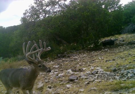 14468 County Road 310 Rocksprings TX 78880