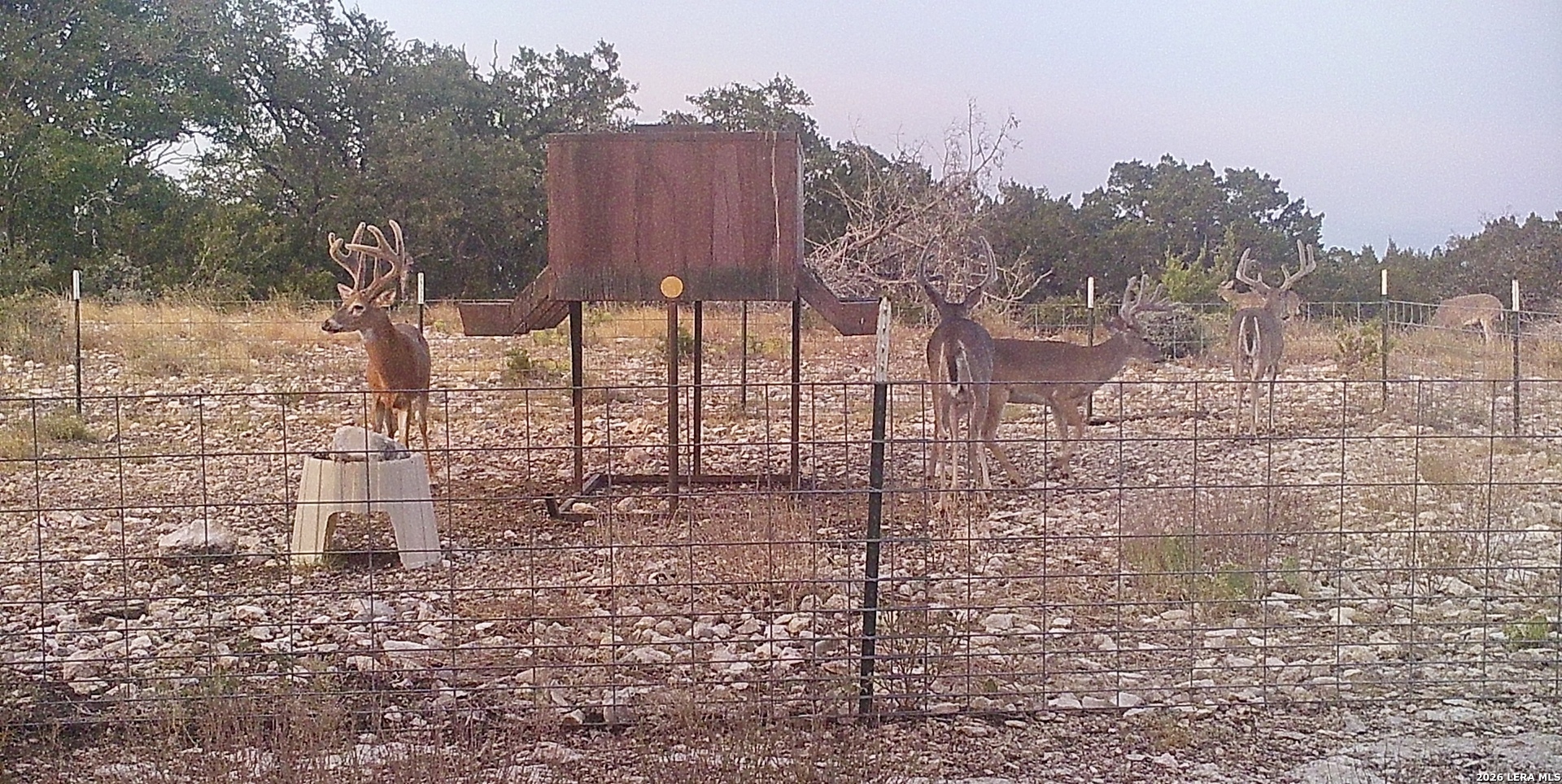 14468 County Road 310 Rocksprings TX 78880