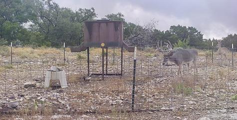 14468 County Road 310 Rocksprings TX 78880