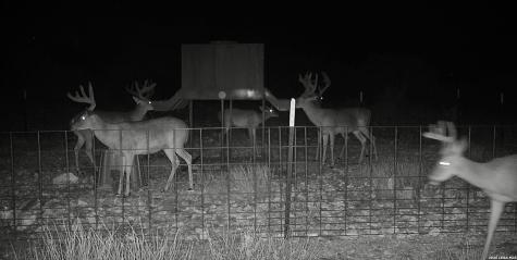 14468 County Road 310 Rocksprings TX 78880