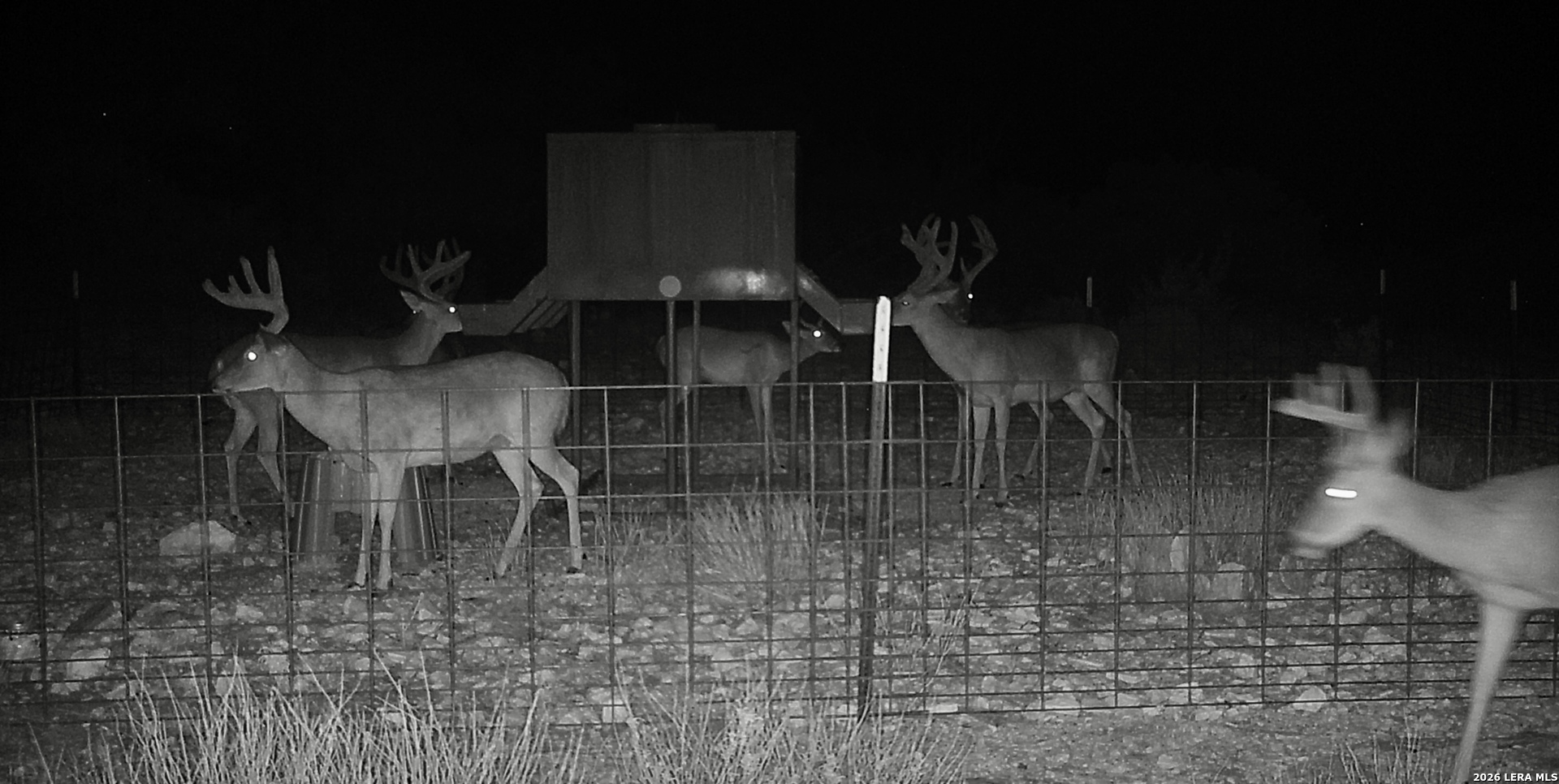 14468 County Road 310 Rocksprings TX 78880