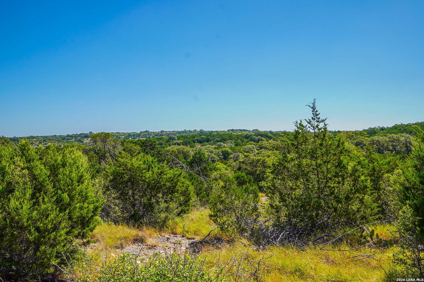 14468 County Road 310 Rocksprings TX 78880