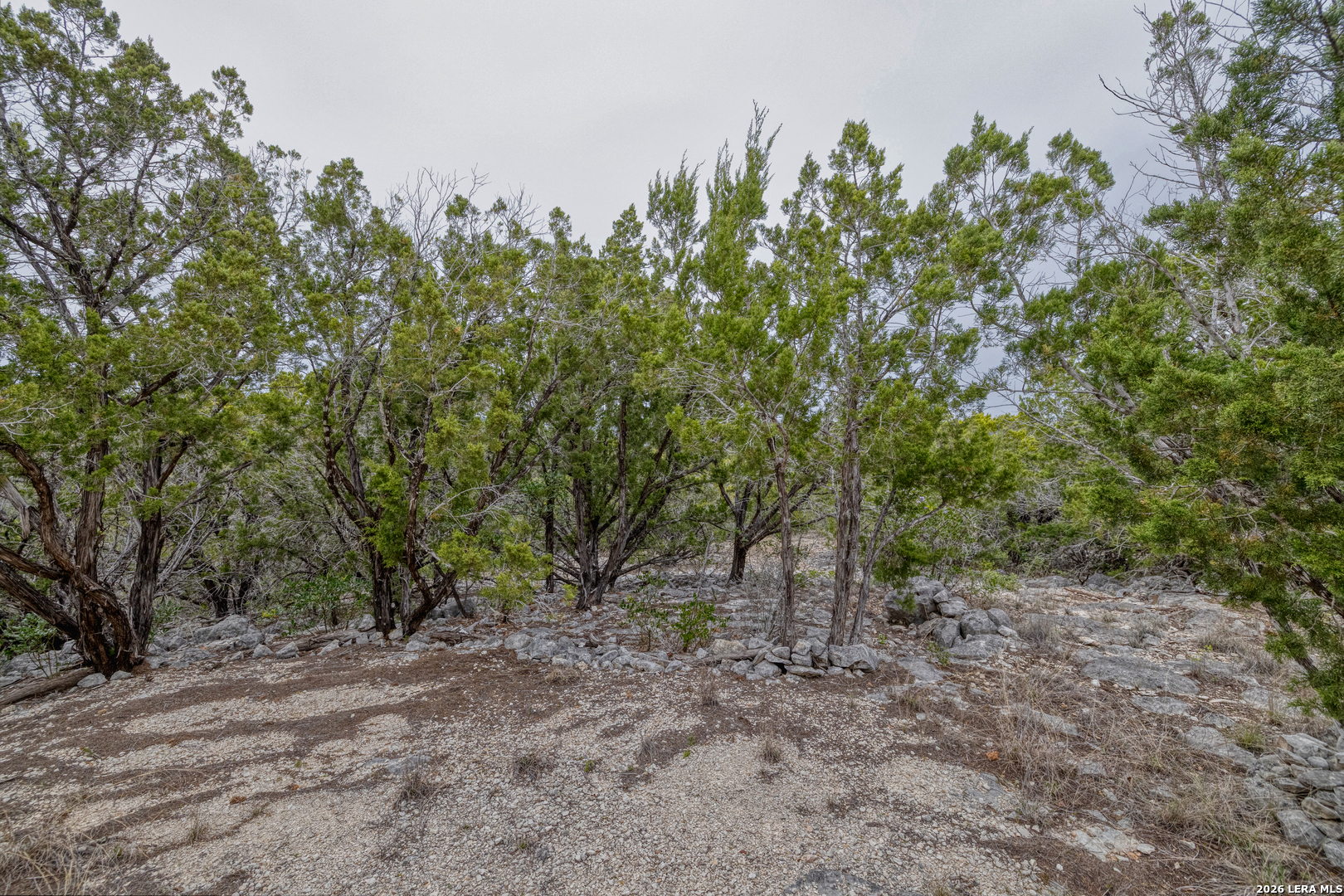9600 Ranch Road 336 Leakey TX 78873