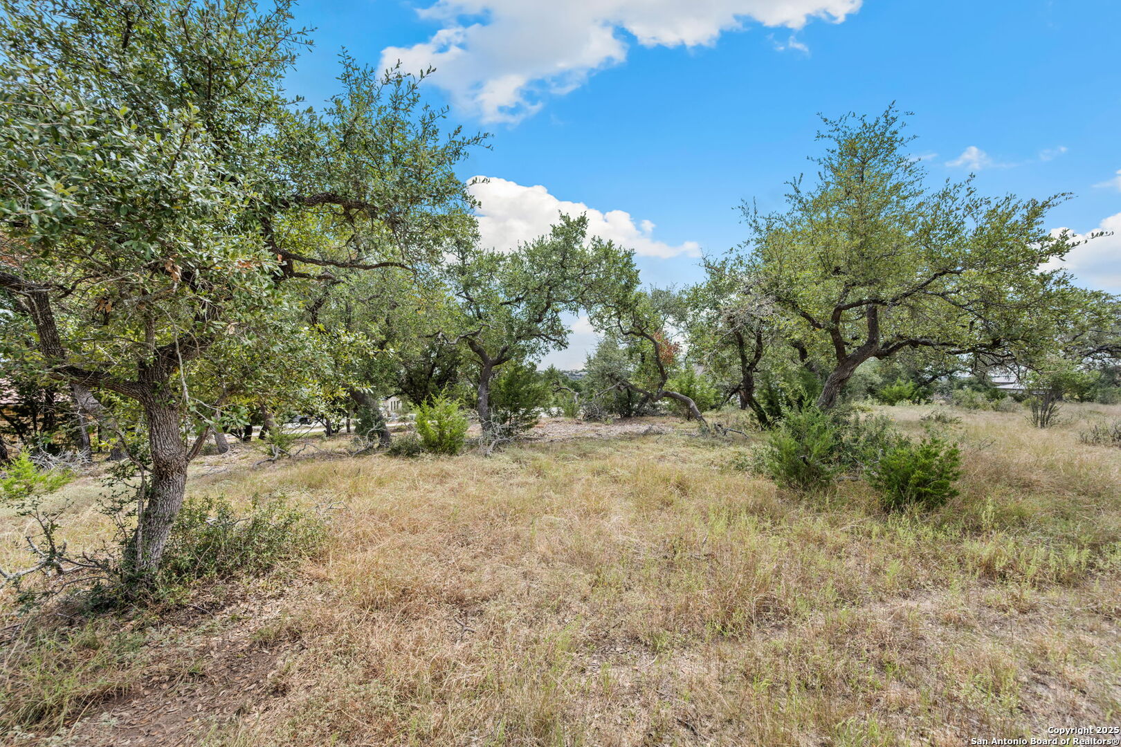 1230 Alsace New Braunfels TX 78132