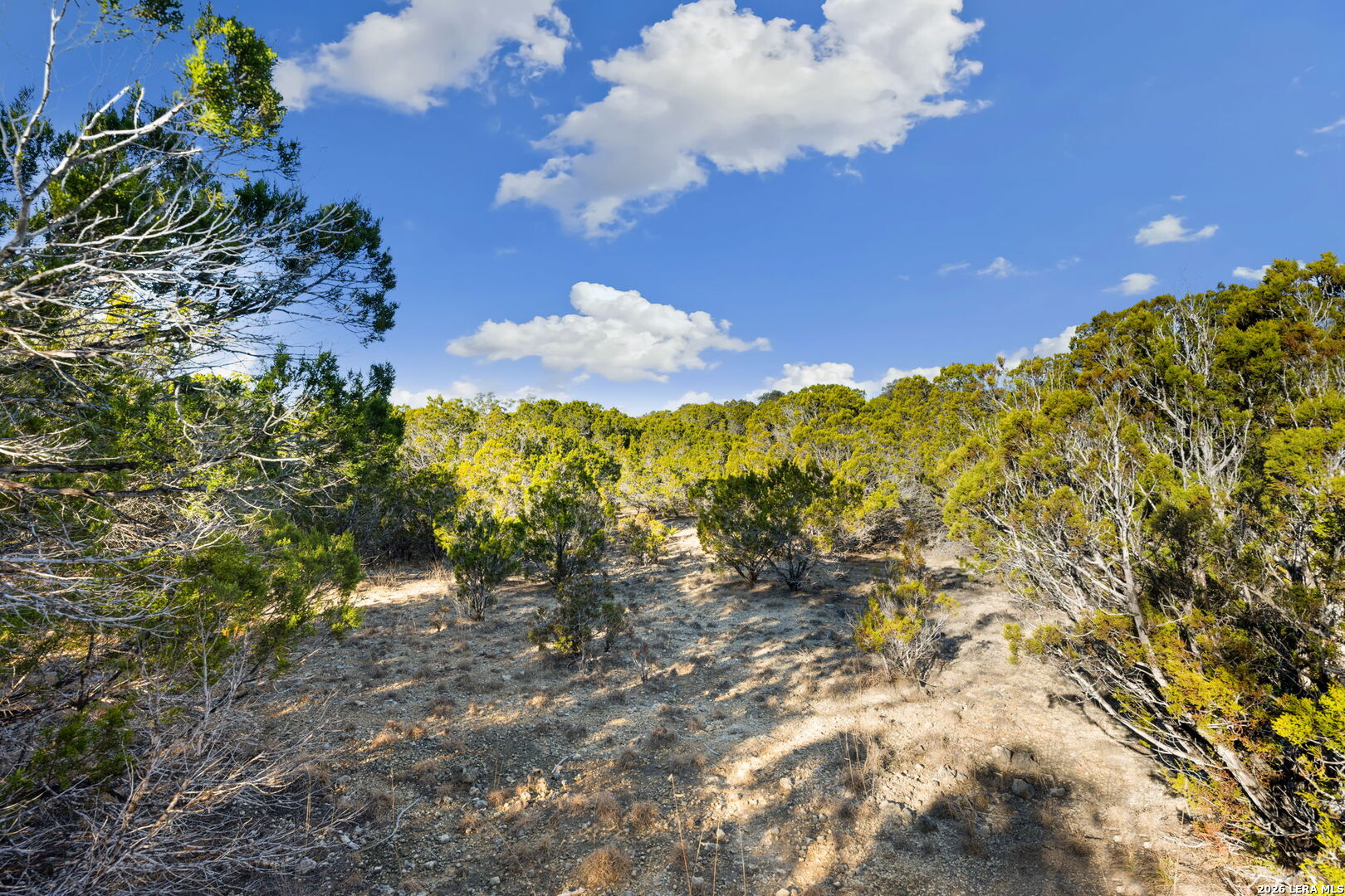 180 La Vista Court Pipe Creek TX 78063