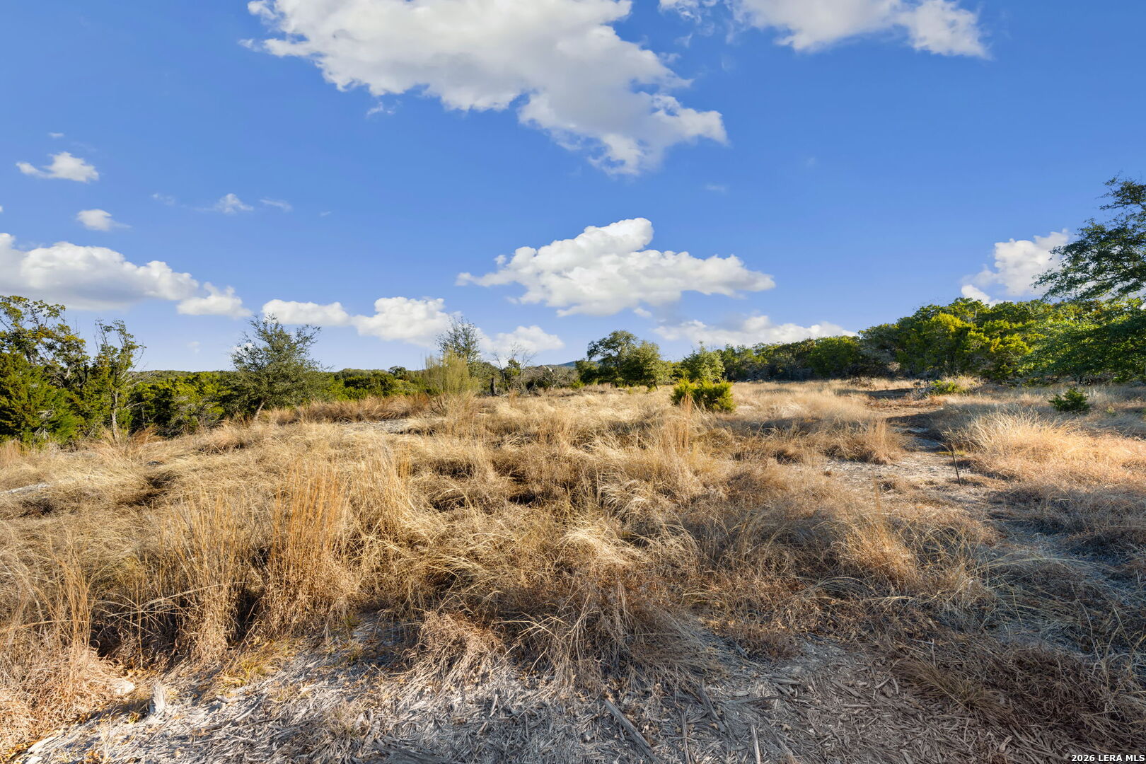 180 La Vista Court Pipe Creek TX 78063