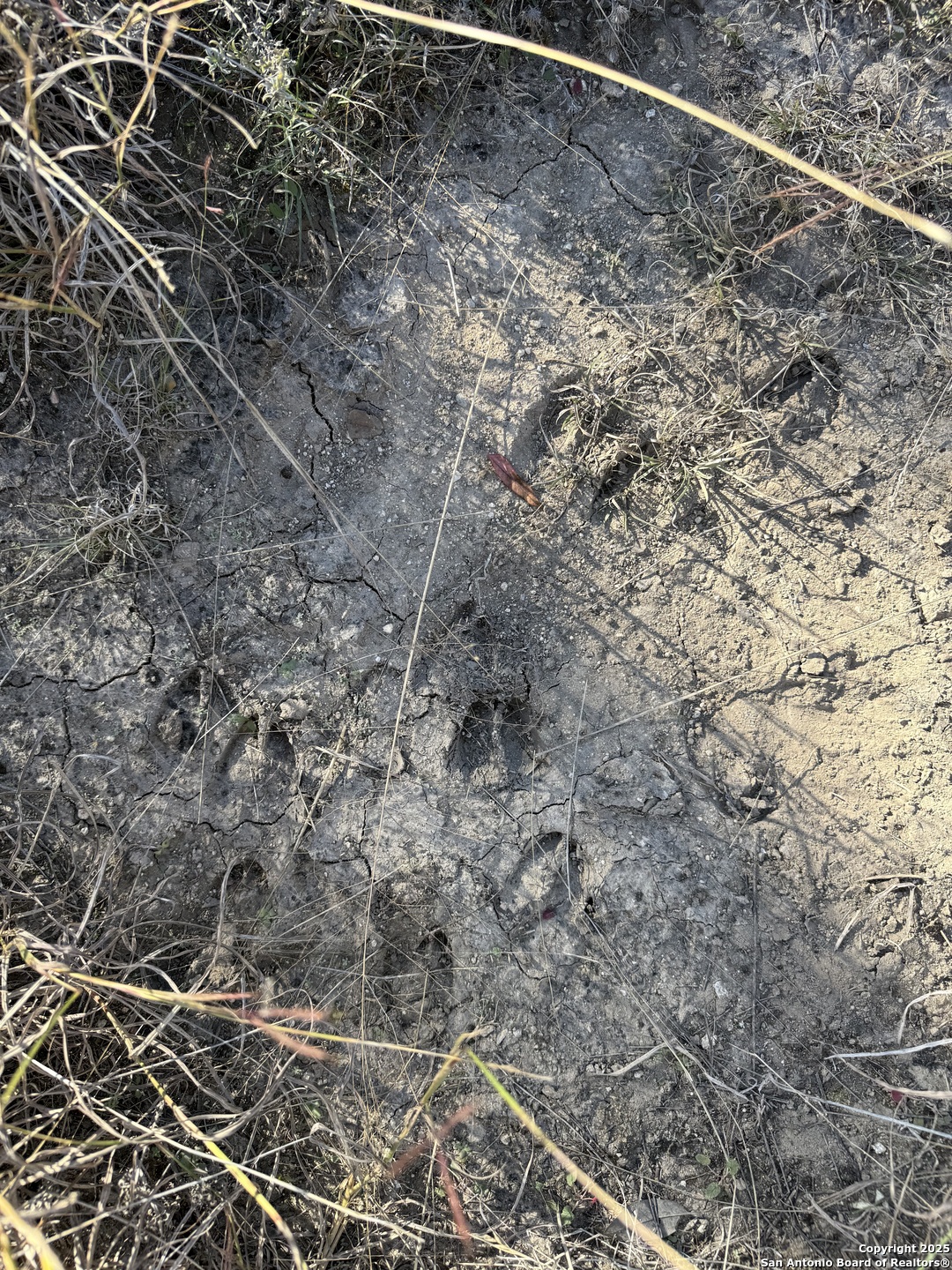0000 Dog Run Burnet TX 78611