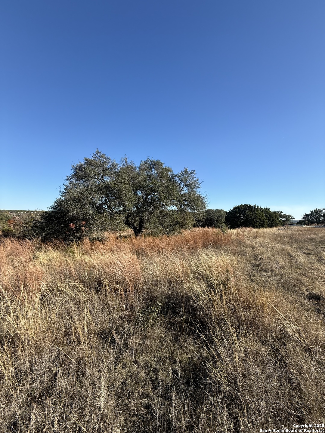0000 Dog Run Burnet TX 78611