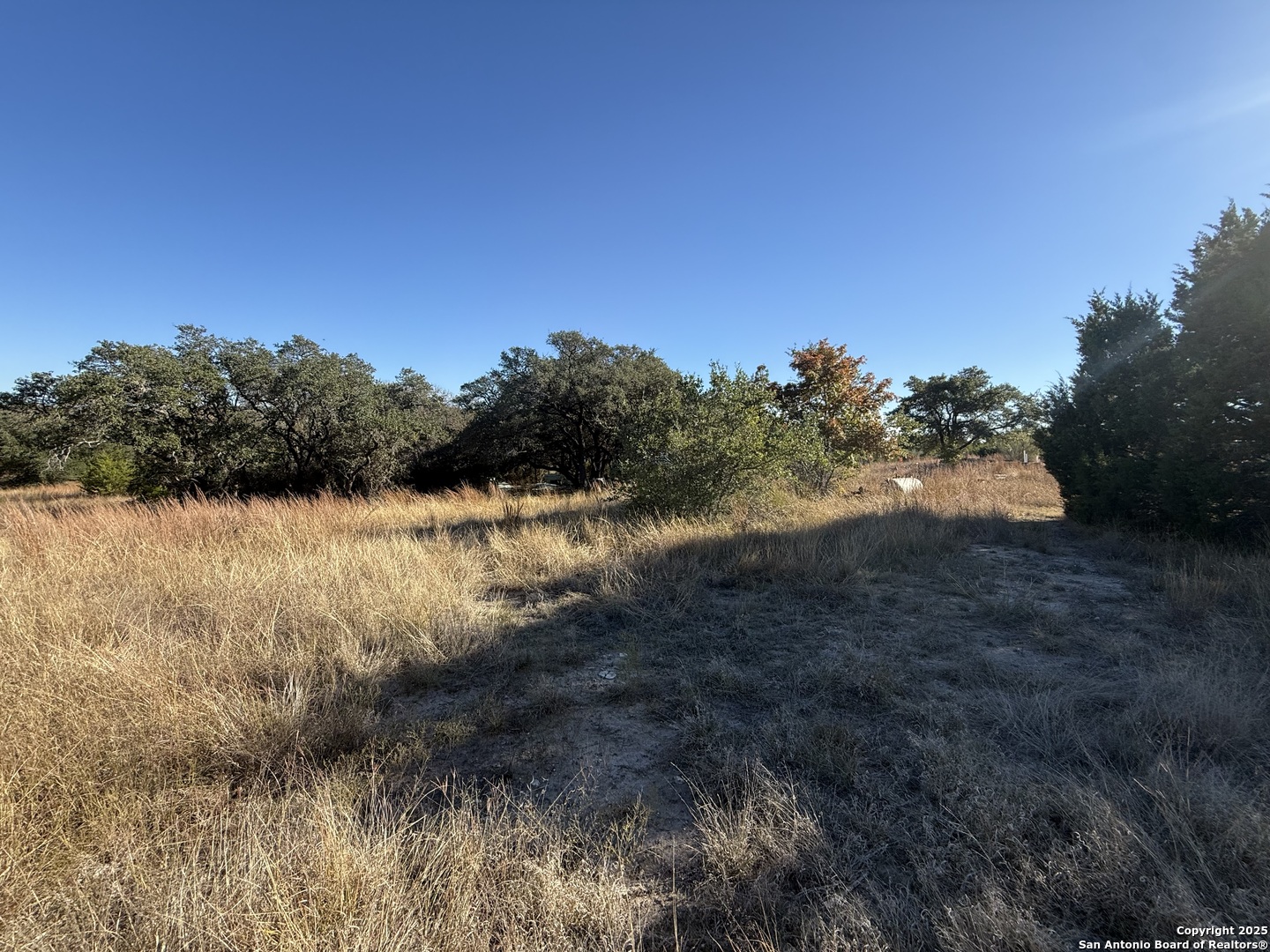 0000 Dog Run Burnet TX 78611