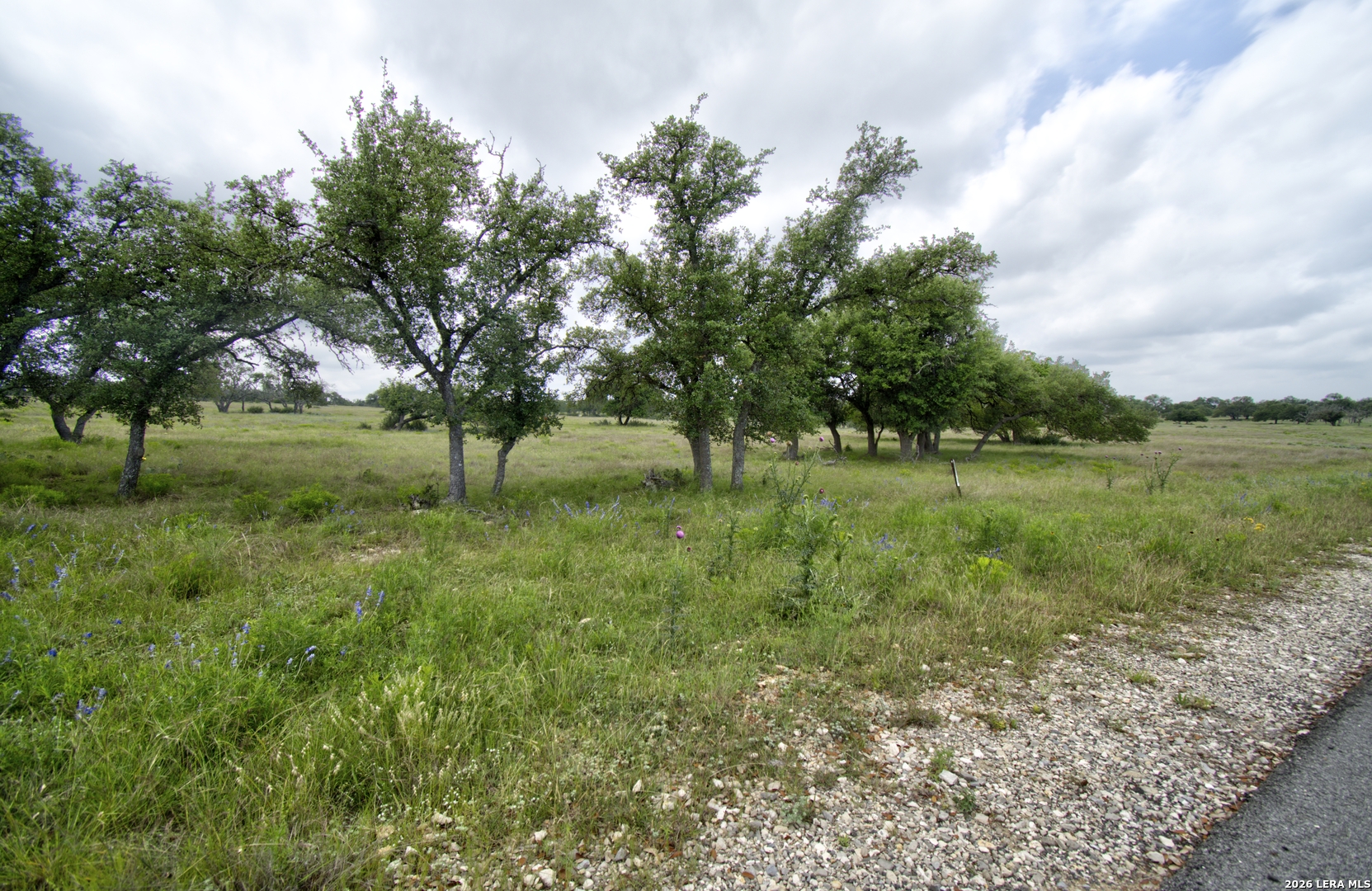 Lot 106 Oryx View Drive Harper TX 78631