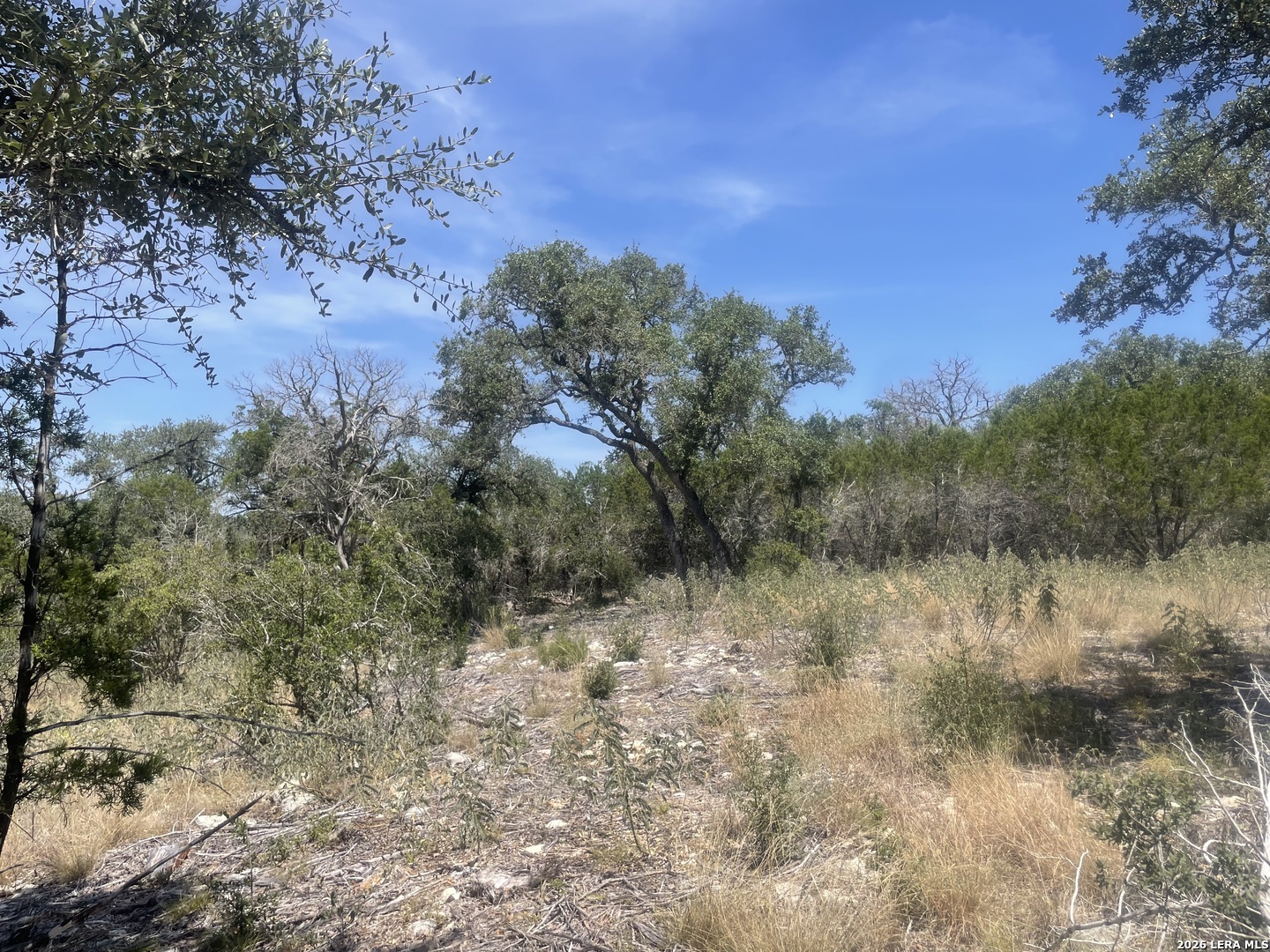 972 Serene Park Drive Spring Branch TX 78070