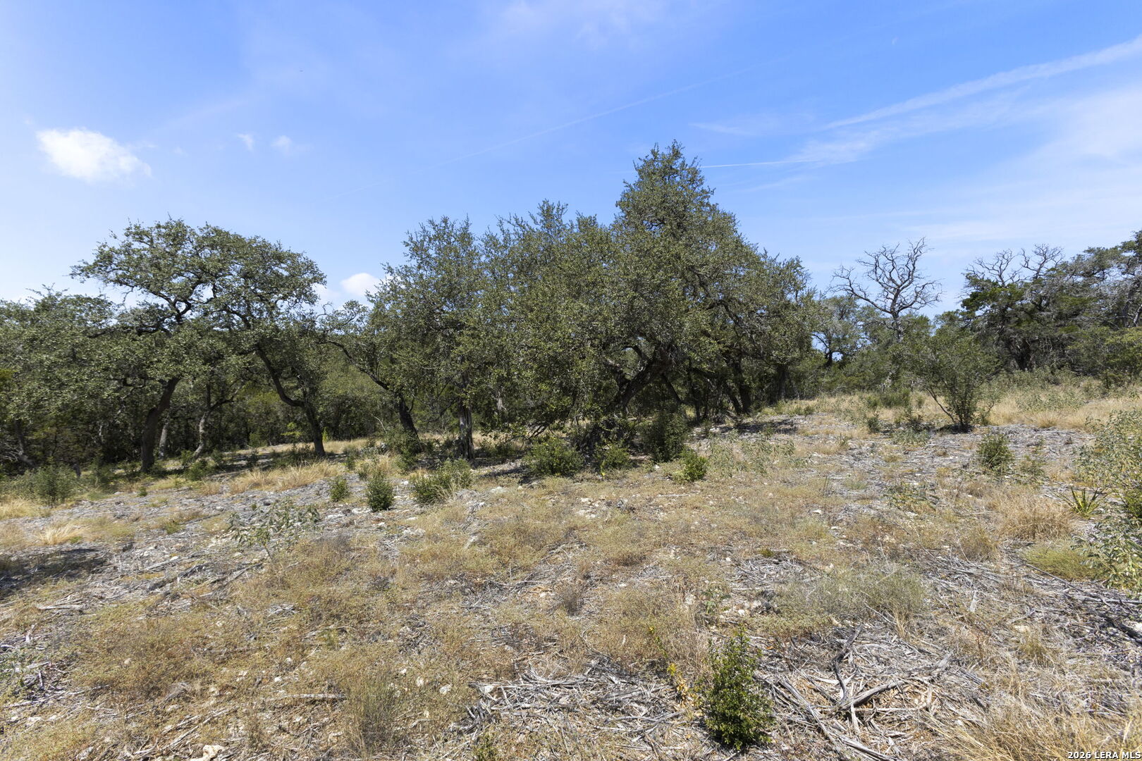 972 Serene Park Drive Spring Branch TX 78070