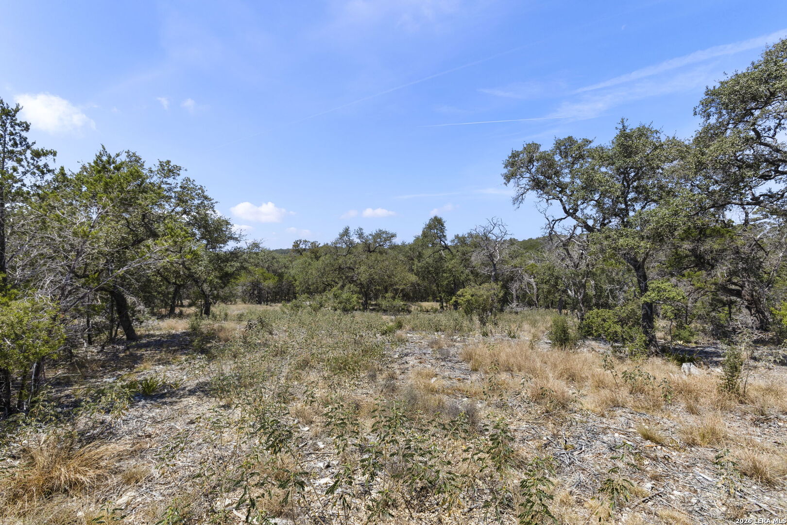 972 Serene Park Drive Spring Branch TX 78070