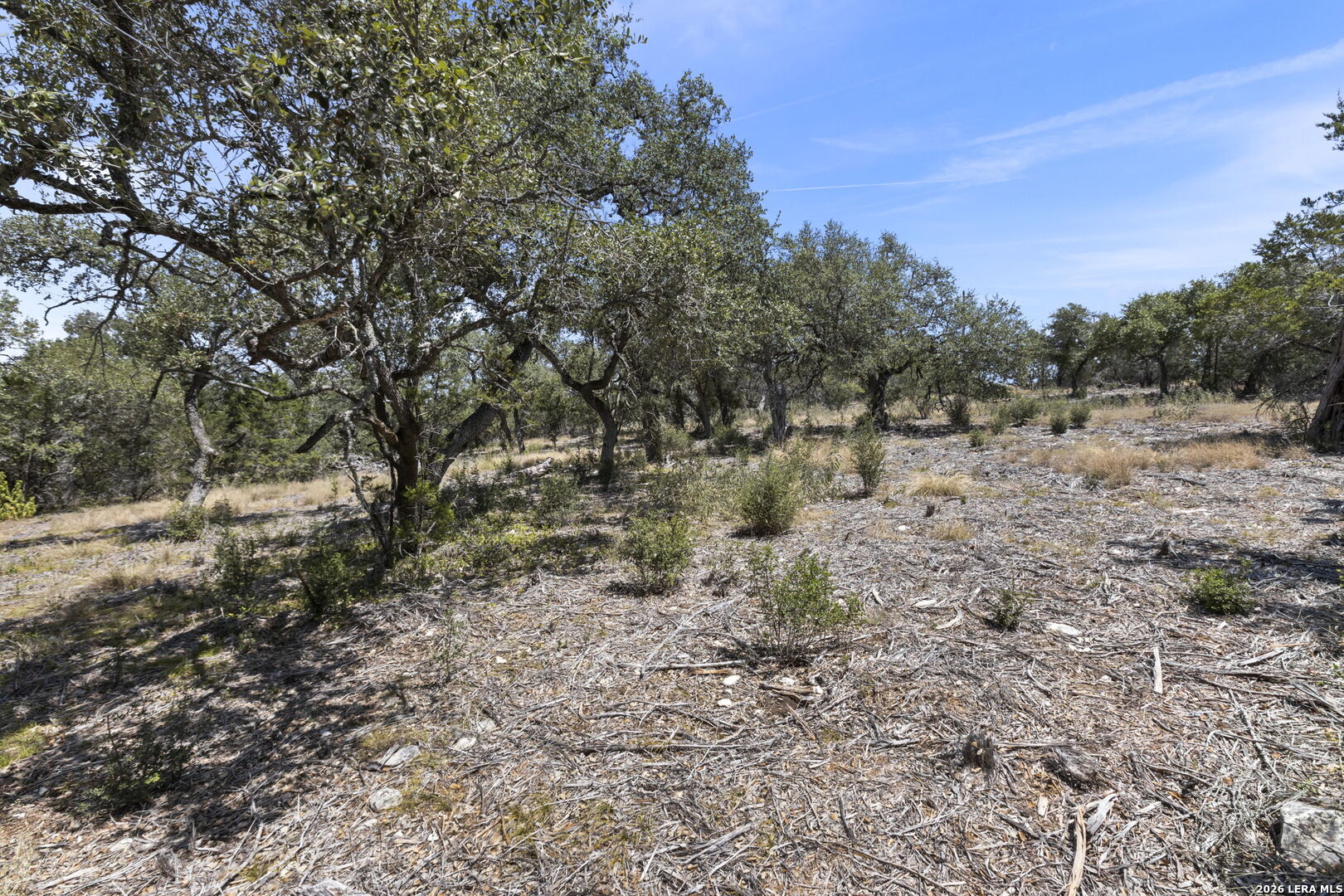 972 Serene Park Drive Spring Branch TX 78070