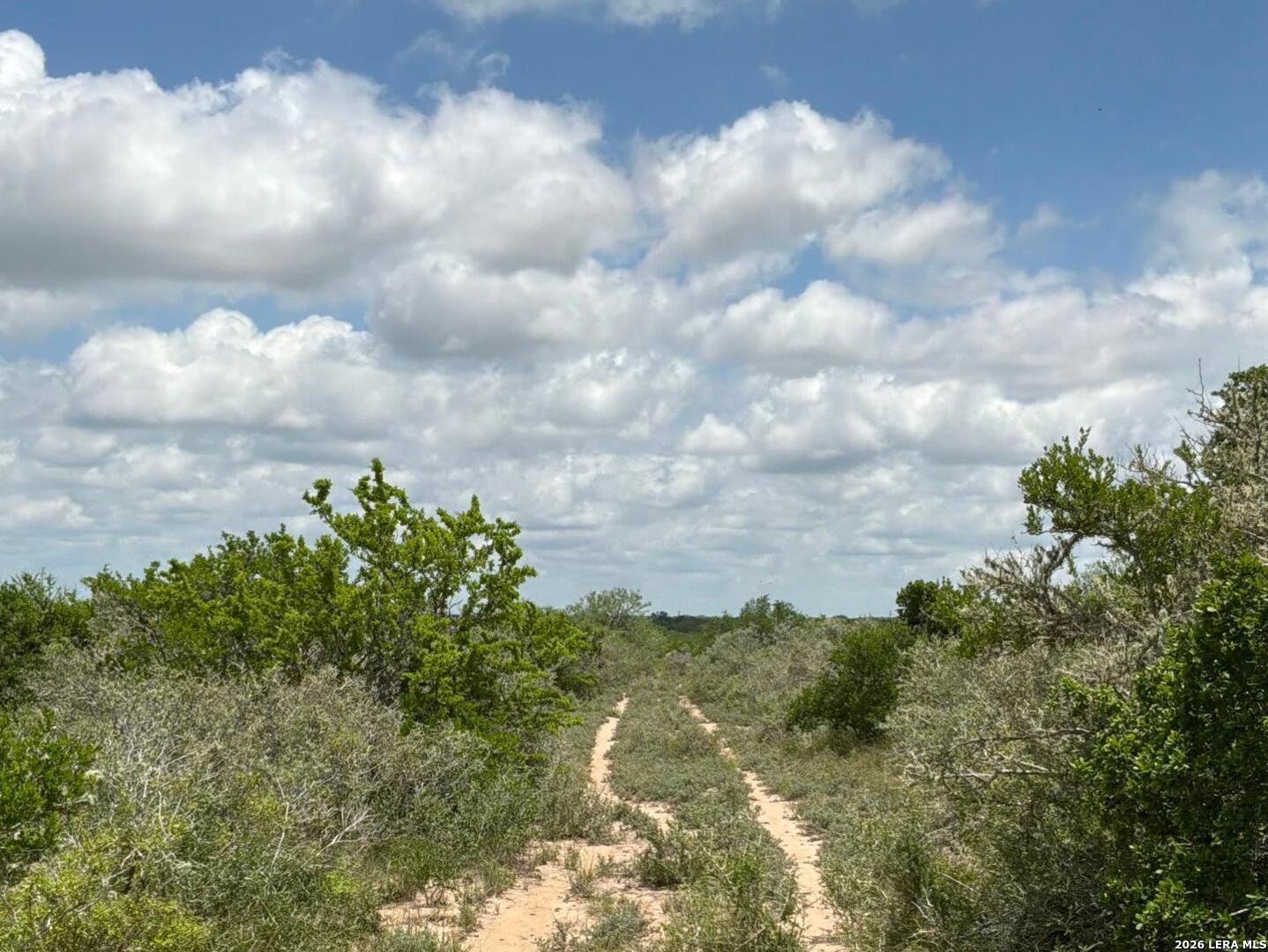 0 Off Highway 59 San Diego TX 78384
