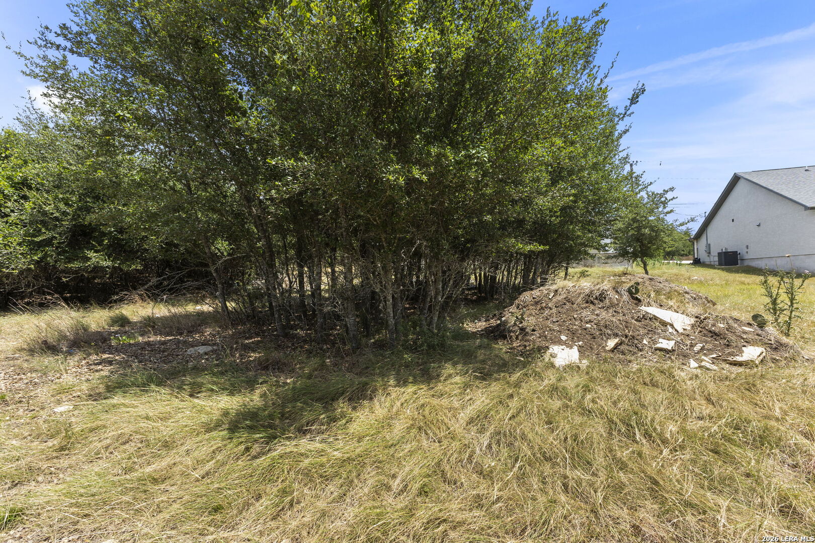 229 Roy Nichols Blanco TX 78606