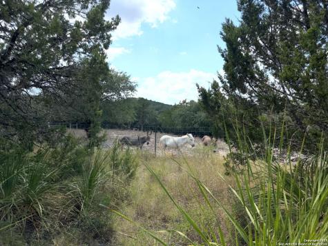 8902 Saddle San Antonio TX 78255
