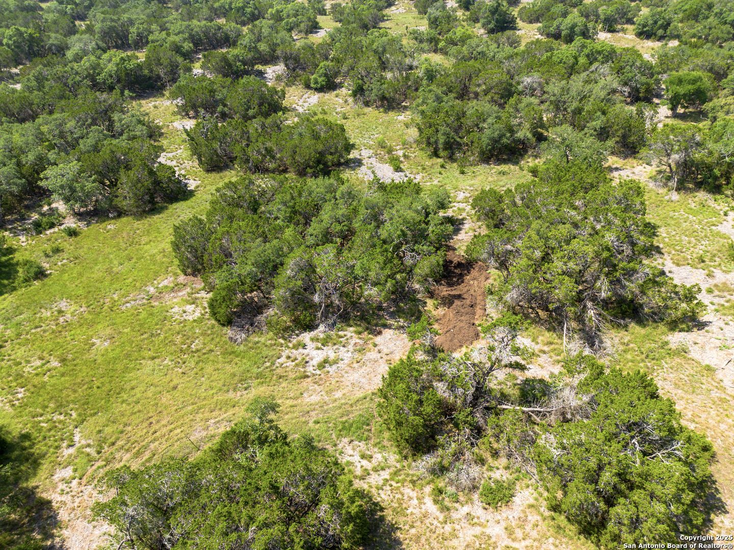 829 Earle Oak Bulverde TX 78163