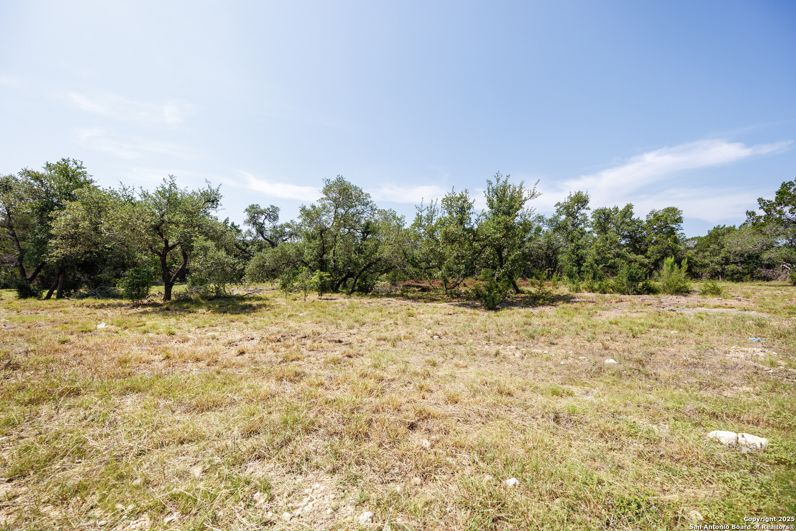 829 Earle Oak Bulverde TX 78163