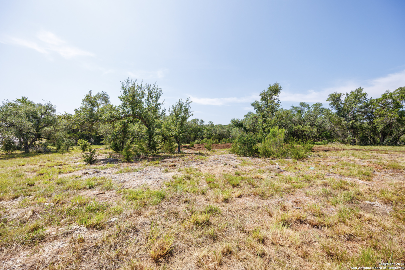 829 Earle Oak Bulverde TX 78163