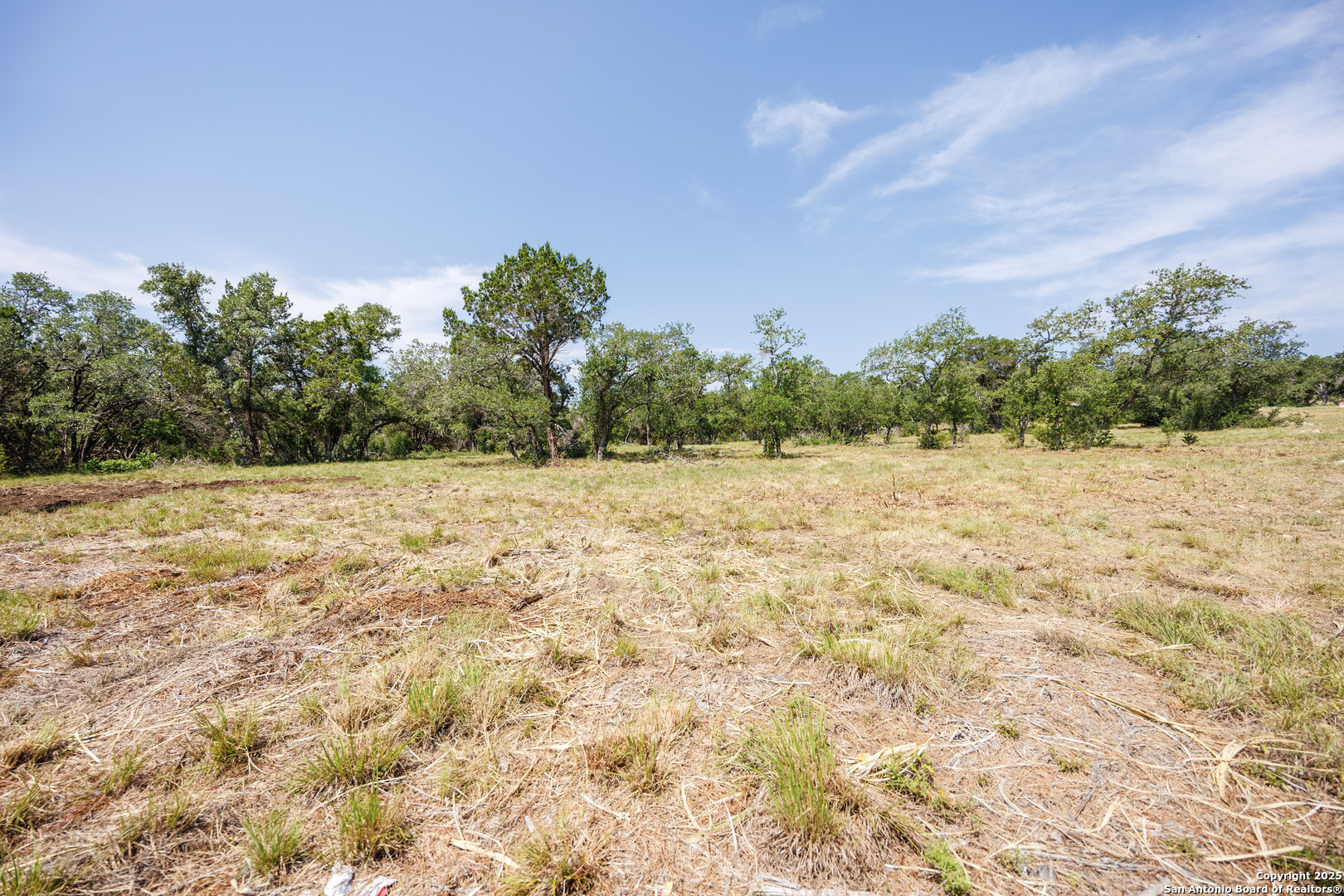 829 Earle Oak Bulverde TX 78163