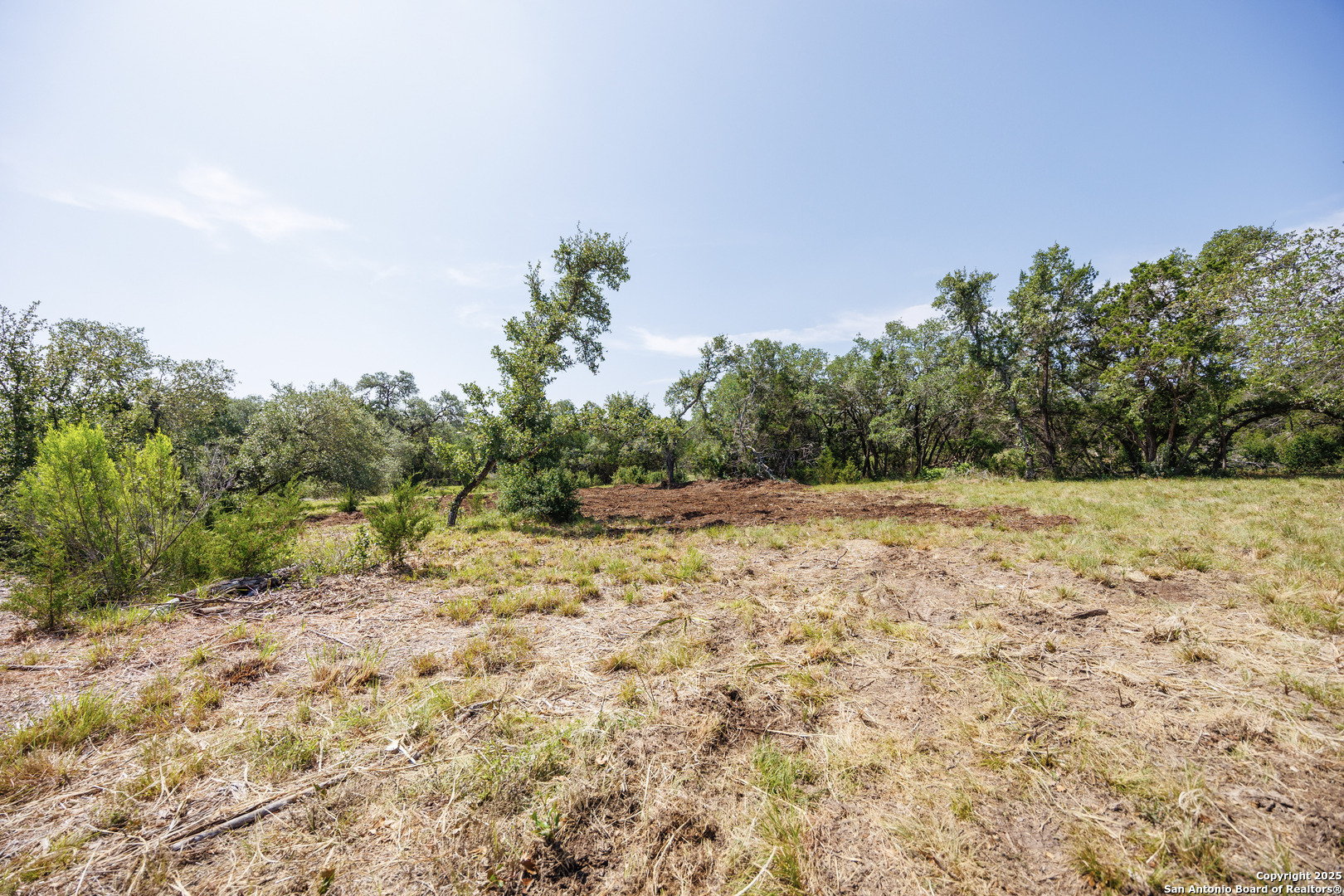 829 Earle Oak Bulverde TX 78163