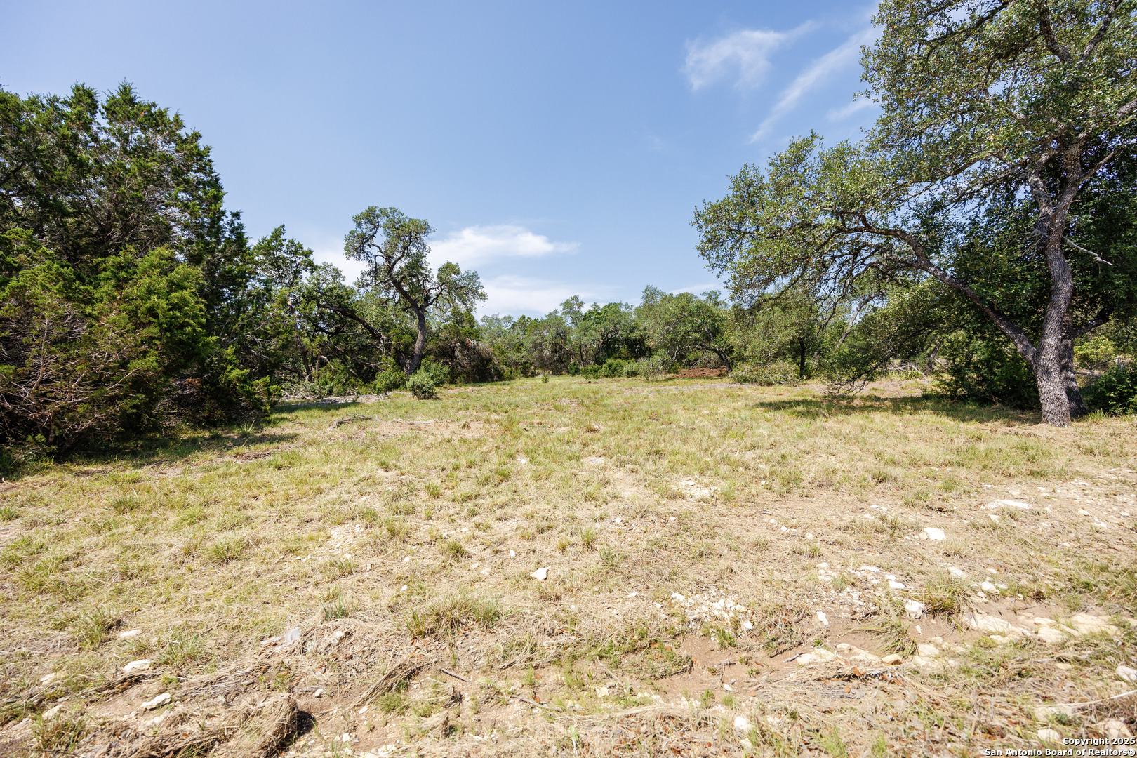 829 Earle Oak Bulverde TX 78163