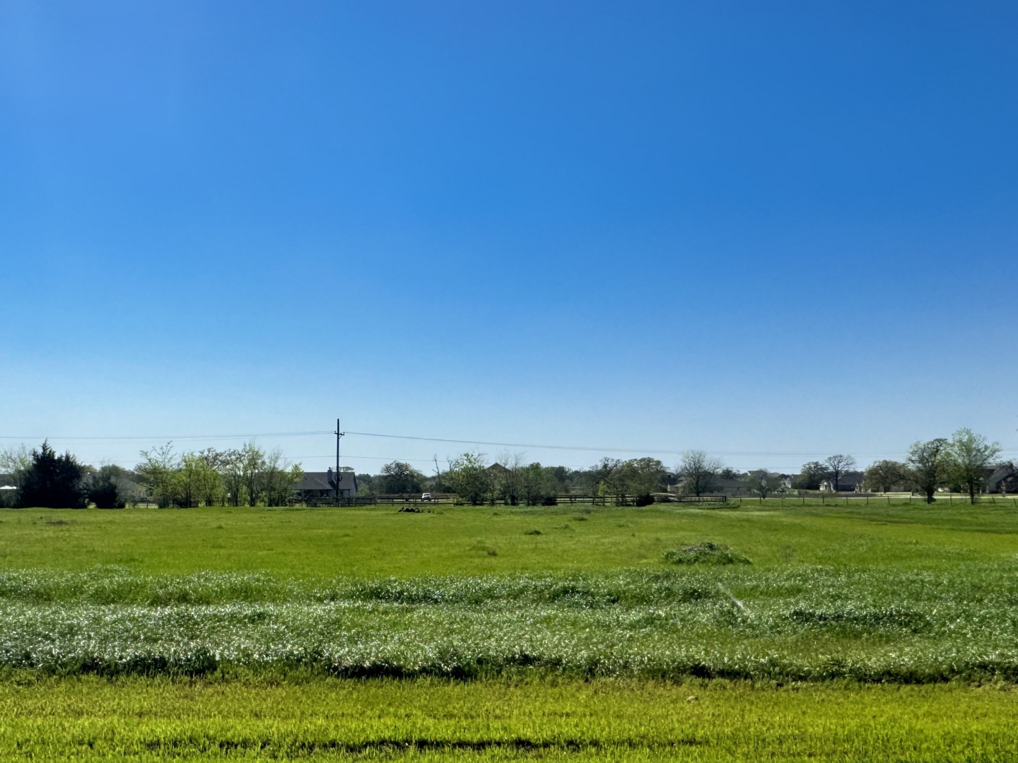 9943 Panther Creek Drive Iola TX 77861