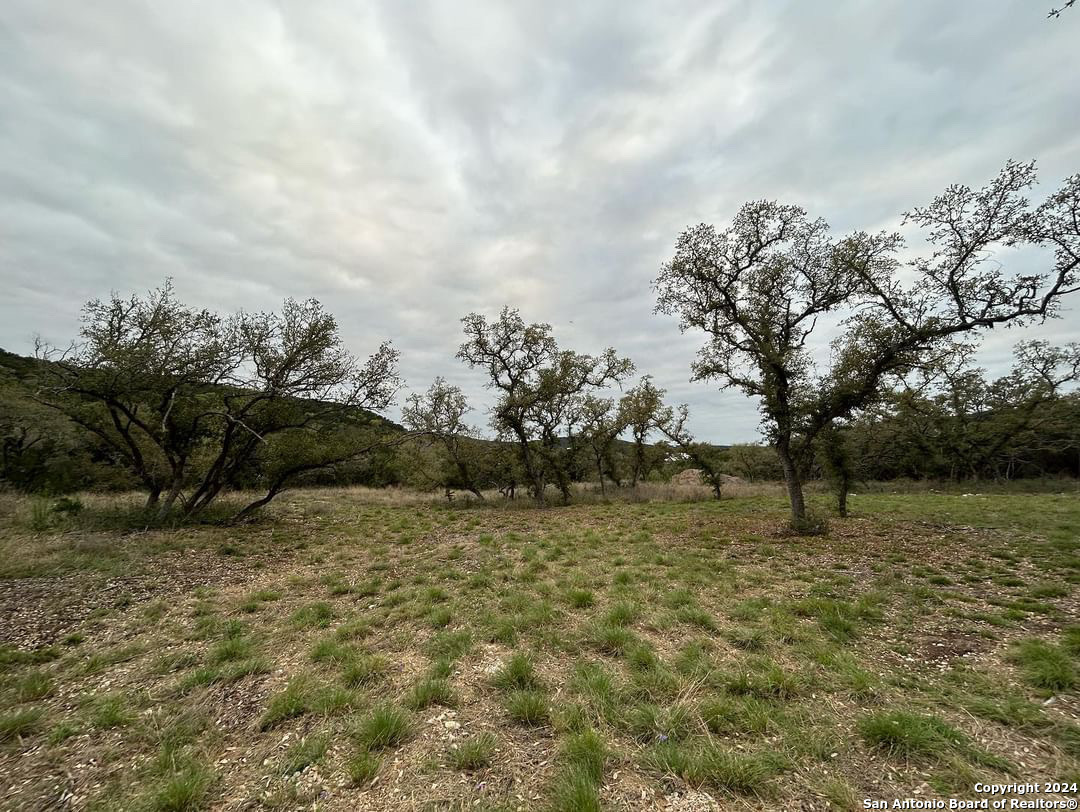 863 Private Road 1742 Mico TX 78056