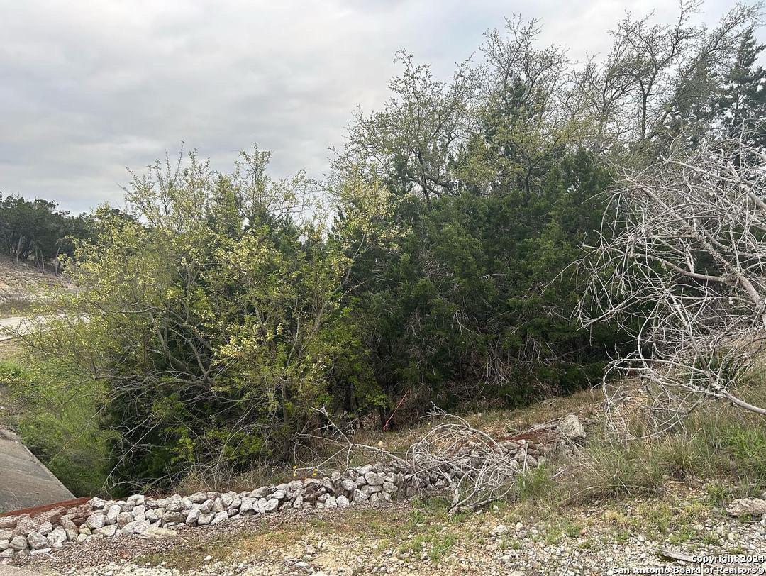 863 Private Road 1742 Mico TX 78056