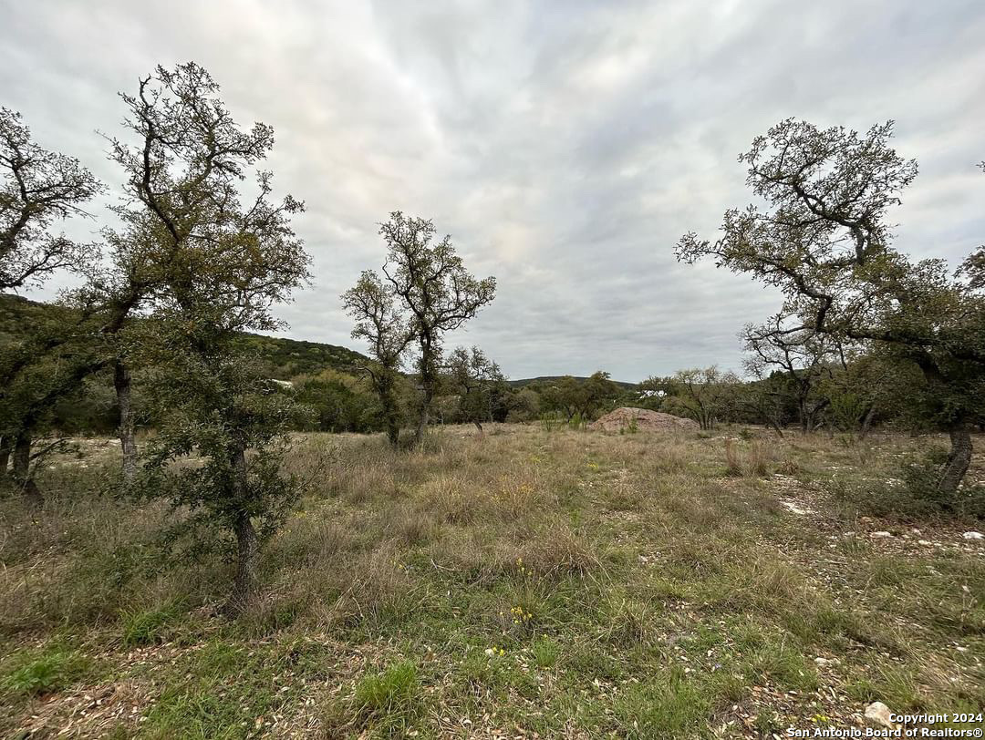 863 Private Road 1742 Mico TX 78056