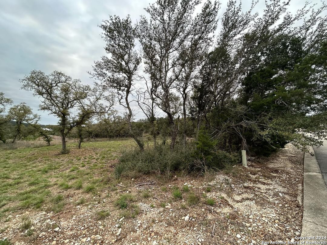 863 Private Road 1742 Mico TX 78056