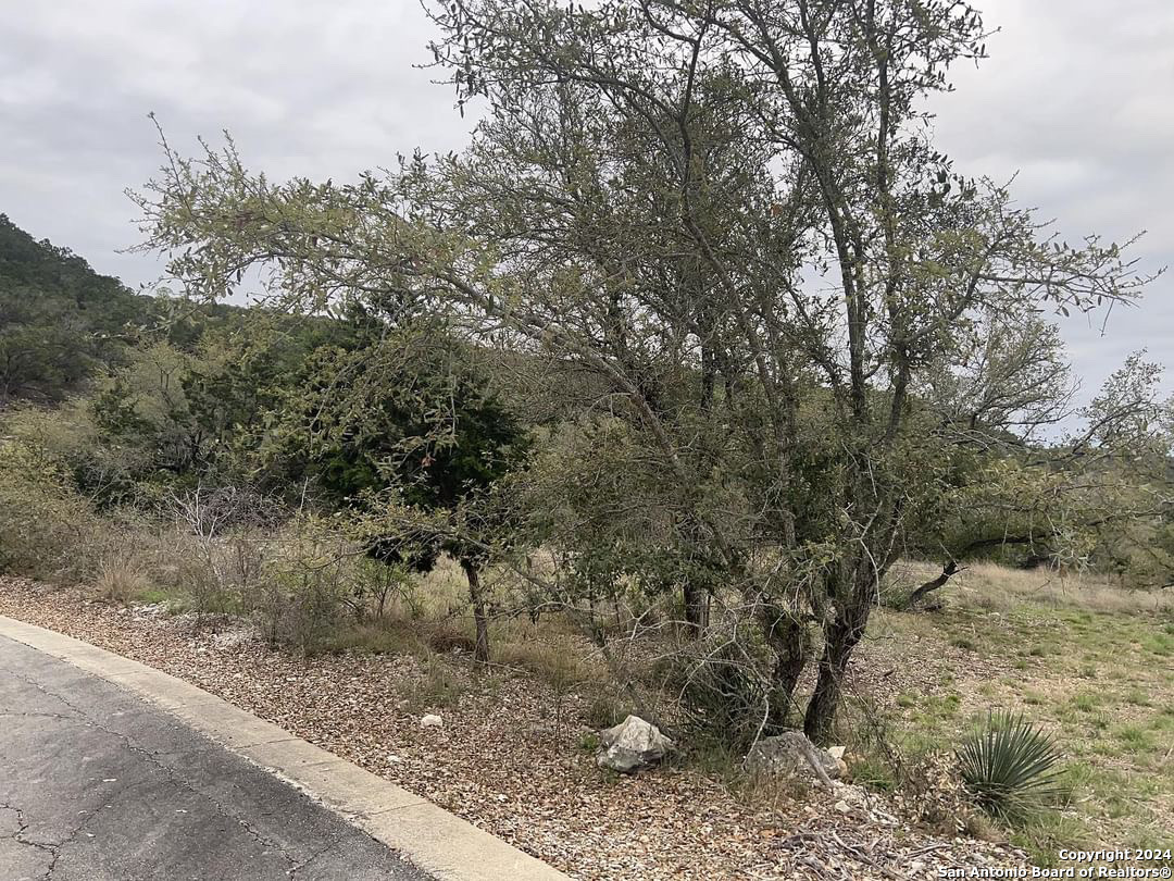 863 Private Road 1742 Mico TX 78056